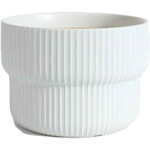 v^[ A  k X^C Jo[ Vv vX`bNgCt ی` ɐ a M c _ SHOP DAN