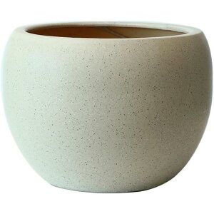 v^[ ϗtA eRb^ k ^Cv1 Vv ze ϗtA _ t@bV L ʋCvX`bN̎Mt SHOP DAN