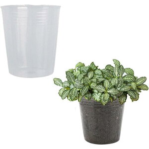 50̃NAi[T[|bg r̂NA|bg c }ؗp̉||bgA̓Rei SHOP DAN