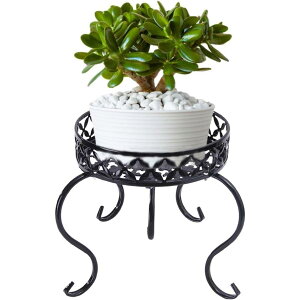 v^[X^h,OAz_[ - Aؔv^[ACAbNAfBXvCp SHOP DAN