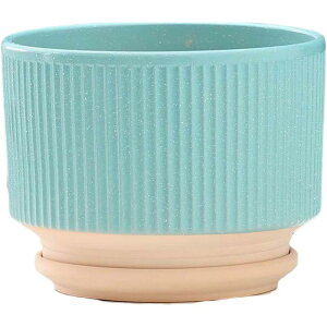 Aؔ eRb^ k ꌊ Vv c a gČ^    ی` Jo[ ϗtA 퐻 SHOP DAN