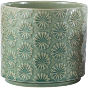 v^[ 퐻 C[ L Aؔ rEt ʋC k X^C Vv ` CeA NGCeBu   SHOP DAN