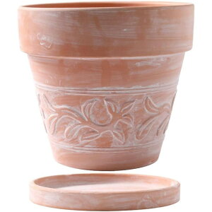 k  Aؔ i` fĂ 20cm gCȂ ꌊ 킢 _ Vv Jg[ GR ` ی^  SHOP DAN