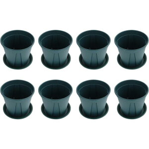 o Aؔ v^[ Xbg vX`bN ͂蔫 ʋC 󂯎Mt vX`bN (5) SHOP DAN