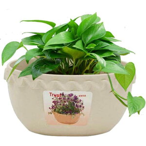 z[X[|bg,OAؔ A|bgSy[XX^C ZObh ǒ݂艺fUCŃoRj[ Lb` SHOP DAN