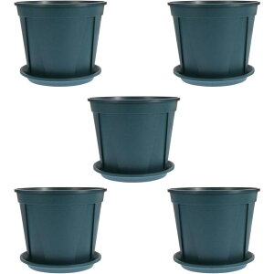 Xbg o Aؔ v^[ vX`bN ͂蔫 ʋC vX`bN 󂯎Mt 5Zbg 4 SHOP DAN