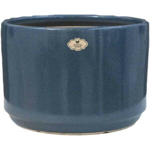 Aؔ Z~bN Vv k X^C ` _ K[f vX`bN̎󂯎Mt z[ t Aؔ a SHOP DAN