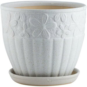 픫 Aؔ Z~bN ꌊ [tv^[ Vbv Vv ϗtA g[t  K[f K[fjO SHOP DAN