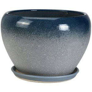  Aؔ  ϗtA A 㕗`̐Aؔ ̓Mtg CeA YȉƂ̐AؔĂ  Zg[t SHOP DAN