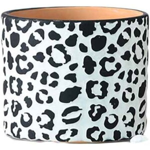 Aؔ A k  Z~bN rEt ʋC _ [bp qEeNX` ړ]j 㑕 g  SHOP DAN