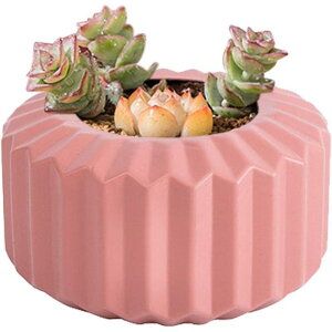 ȐAؔ ̎Ȗ͗l̑A̐Aؔ 3.15C`̃~jt[|bgv^[ z[ItBX̑p̖~̓|bg ƃsN SHOP DAN