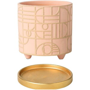  A k Aؔ Vv ꌊt K[fjOpi 蕨 ͕ ʋC ی`  Mt t Or  SHOP DAN