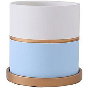 Aؔ 픫v^[  ` ϗp 󂯎Mt  x_ (17*17CM,O[)  ϗtA A SHOP DAN