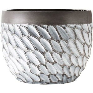 k  Aؔ Zg a ` [bp X^C T{e e[u t@bV  t Vv SHOP DAN