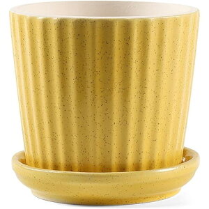 Aؔ v^[ |bg r  O  픫 u CeA ^A A|bg  v[g   SHOP DAN