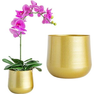 S[hv^[ - ApS[hv^[ ̒̃peBIɓKrt̋̃v^[IȊۂAؔ SHOP DAN