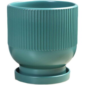 Aؔ A M  k Vv rEt ^Cv1 v^[ T{e ϗtA  CeA   A SHOP DAN