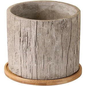 A Zg ^Cv1 Vv k ؖ `  M  ꌊt v[g ACfAAؔ |bg _ u SHOP DAN