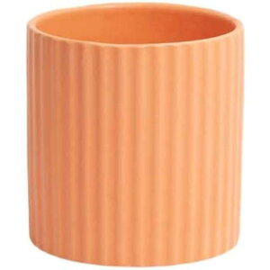 Aؔ v^[ 퐻 rEt ^Cv3 ʋC k  u  I NGCeBu  XgCv _ SHOP DAN