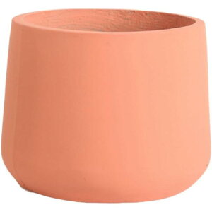 Zg v^[ k Aؔ 27*22 t CeA G ʋC Vv ACfAAؔ AEghA  SHOP DAN