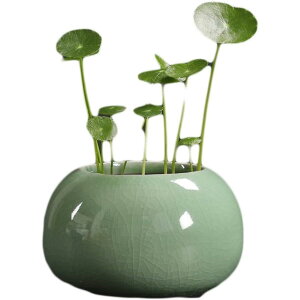 Aؔ  v^[ ی` ~j ^Cv1 u eRb^ ^ k͔|ł a10CM oRj[ eRb^   SHOP DAN