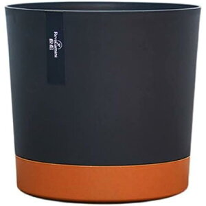 k ^ vX`bN t[|bg Aؔ IV A zCg ϗtA  ze Vv { XL X SHOP DAN