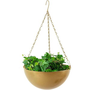 Aؔ nMOv^[ nMOoXPbg ݂蔫^K[fv^[ S[h(AȂ) SHOP DAN