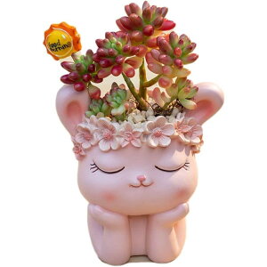 Aؔ A T{e  Aj}v^[ Mtg{bNX`Aؔ sN  Xg ̌`A   SHOP DAN