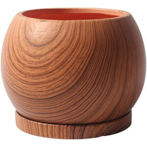 Aؔ A 퐻 Vv k ꌊ Mt ʋC ze fXNgbv~ CeA ؖ    u SHOP DAN