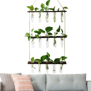 Ԃ牺ԕr - ʐ^KXǐAؔ,Ả|ê߂̖mȔ_Ƃ̕ǂ̃v^[̊|Aؔ̒I SHOP DAN