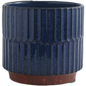 Aؔ  v^[ ی` v^[ A T{e L ʋC u FI CeA  _[Nu[ SHOP DAN