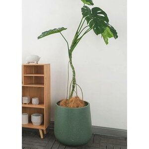 Zg|bg yꌊ gCȂz ^  Vv ۂ hbg  AeB[N ȐAؔ Pi Aؔ ی^ SHOP DAN