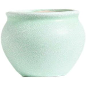 Aؔ A Z~bN rt Vv ʋC fĂ u̔A fXN̑ Gݓ sN A؃|bg CeA SHOP DAN