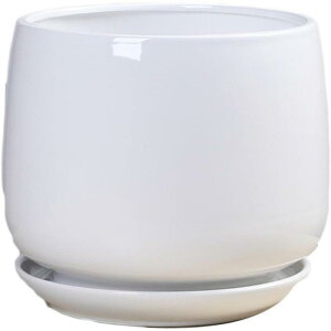 ̌^ł킢^ȐAؔI /픫//X^CbV/CeABAؔ gČ^ ꌊL M gČ^ k SHOP DAN