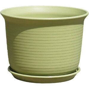 Aؔ Xbg vX`bN 1_Zbg 󂯎Mt rt XNGA   y  Vv GRv[g SHOP DAN