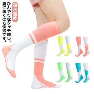 St C nC\bNX fB[X StEFA StMX XgbLO Ђ  fB[XMX ⊴ gJMX X SHOP DAN