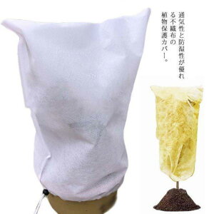 AیJo[ hJo[ ۉ h h~ hlbg 悯Jo[ h ΍ | sDz В h ΍  O K SHOP DAN