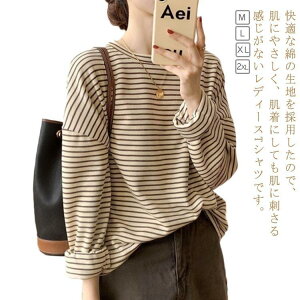 Vc fj   Y am jp fjVc ƒ ƕ   傫TCY  lCr[ n H~  SHOP DAN