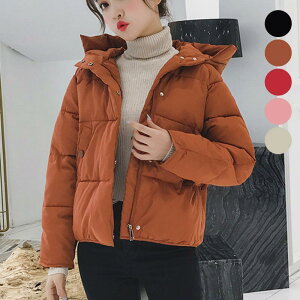 _ER[g fB[X  AE^[  g t[ht  h H ~AE^[  ʋΒʊw JWA SHOP DAN