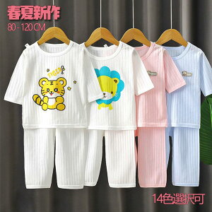 xr[ LbY pW} ̎q j̎q ZbgAbv ㉺Zbg N[lbN  [EFA ct w ~h    80cm SHOP DAN