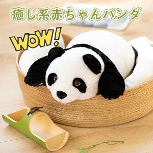 p_ʂ 傫 p_NbV YQ܂  킢 ܂  n ޏގ av[g SHOP DAN