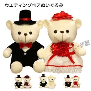 ʂ  F  d j v[g EFJh[ efBxA yA j Mtg 蕨 40cm SHOP DAN