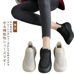 EH[LOV[Y Xj[J[ fB[X bV  Y i[XV[Y [Jbg JWA  y ʊw L ₷ SHOP DAN