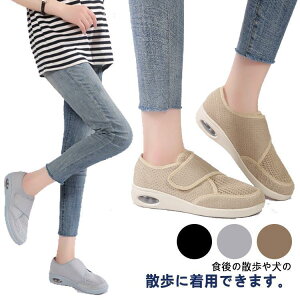 V[Y  fB[X  V[Y Xj[J[ nrV[Y bV V[Y  ƕt O ʋC  SHOP DAN