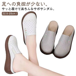 T{ T_ Xb| i[XV[Y bV fB[X ƂȂ Xj[J[  V[Y C Xb| Ȃ y y PU SHOP DAN