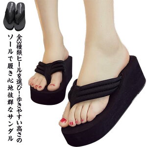 3cm/5.5cm/7cq[Ir[`T_ fB[X V[Y gOT_ C _炩 n T_  r ėp r[T  SHOP DAN