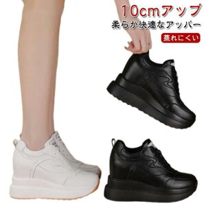 ���� �X�j�[�J�[ 10cm 10�Z���` �g���A�b�v ���f�B�[�X ����X�j�[�J�[ ����C �V�[�N���b�g�V���[�Y �V�[�N���b�g�C �V�[�N���b�g�X�j�[�J�[ SHOP DAN