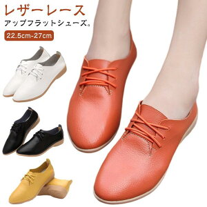 Xj[J[ JWAV[Y fB[X [XAbvV[Y C vC _炩 y [q[ h ₷ Ȃ wlC vC U SHOP DAN