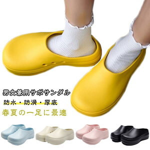 T{T_  Y fB[X EVAf 5cmq[ RbNV[Y ~[C y h Ȃ ₷ Xb| Lb`V[ SHOP DAN