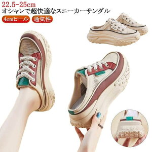 ƂȂXj[J[ Xj[J[T_ ʋC  Xj[J[ fB[X 4cmq[ Xbp ؍ ʋ Xb| d C ʊw C SHOP DAN